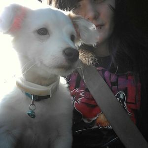 Meet your Posher, Caitlin